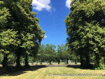 More trees to be planted across Wandsworth