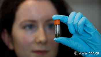 Scientists find signs of waning antibody immunity to COVID-19 over time in England