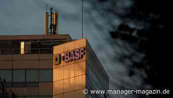 Markenstrategie: Ein Best Practice von BASF