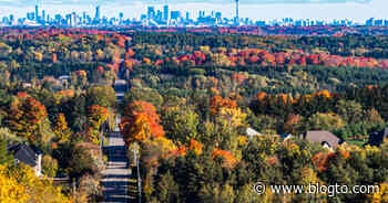 Toronto medical officer of health links COVID-19 surge to Thanksgiving - blogTO