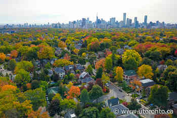 Toronto's low-income and racialized communities have fewer trees: U of T researchers - News@UofT