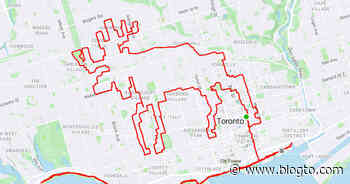 Toronto cyclist draws giant moose across the city with his bike - blogTO