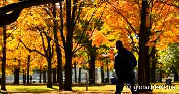 Coronavirus: Latest developments in the Greater Toronto Area on Oct. 26 - Global News
