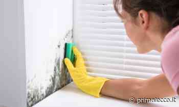 A chi affidarsi per eliminare l'umidità in casa - Prima Lecco