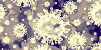 Daily record of new coronavirus cases, deaths shattered Tuesday - WBAY