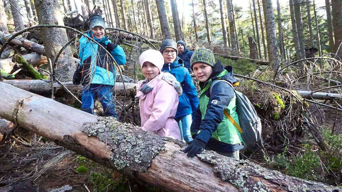 Baiersbronn: Grundschüler auf Tour im Nationalpark - Baiersbronn - Schwarzwälder Bote