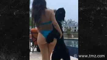 Instagram Model Deyana Mounira Sues Over Aroused Dog Photo Shoot