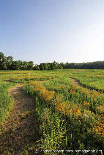 A WAY OF WALKING - Landscape Architecture Magazine