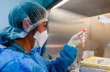 La provincia de Buenos Aires suma 3.694 casos de coronavirus - El Marplatense