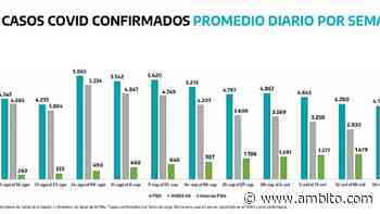 Provincia de Buenos Aires: siguen en descenso nuevos casos de Covid-19 y cae la ocupación de camas - ámbito.com