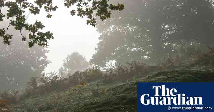 Country dairy: ‘Uh-whah. Uh-whah,’ gasps the mystery noise maker