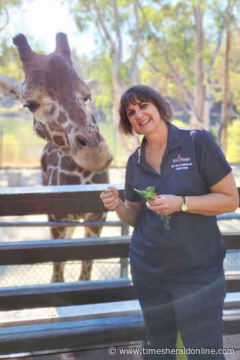 October 29 Arts and Entertainment Source: Always Something To Celebrate - Vallejo Times-Herald