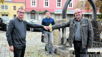 Grüne-Urgestein - Neunkirchen: Pallauf tritt zurück - NÖN.at