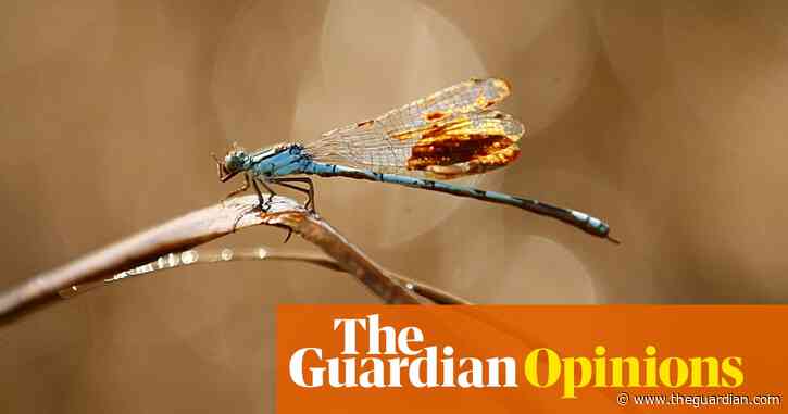 The world's banks must start to value nature and stop paying for its destruction