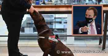 Coronavirus sniffer dogs trained by Durham University hailed by Matt Hancock
