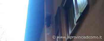 Caslino d'Erba, massi su palazzina Due famiglie a rischio evacuazione - La Provincia di Como