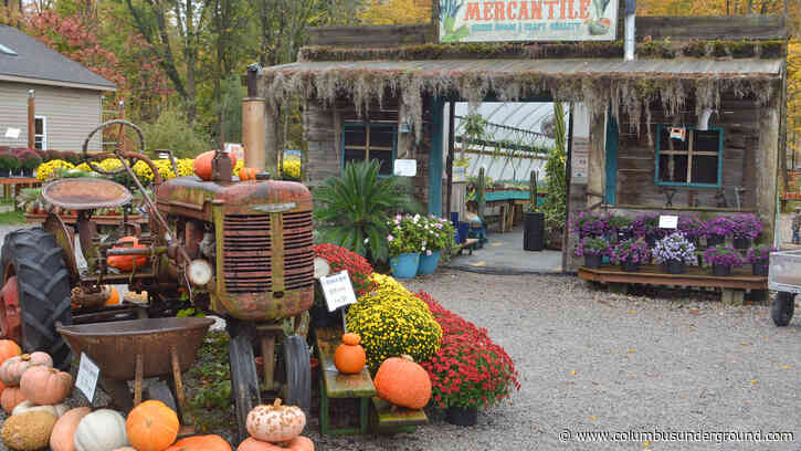 Shop Talk: Groovy Plants Ranch an Oasis of Houseplants, Cacti & Succulents