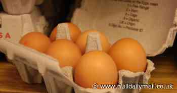Aldi, Sainsburys and ASDA recall eggs due to potential salmonella