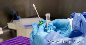 Bristol records almost 300 new Covid cases as city moves into Tier 1+