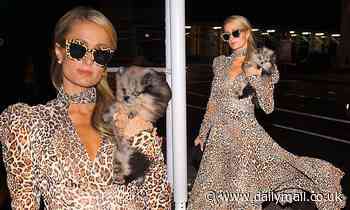 Paris Hilton dons leopard-print dress and ditches mask for dinner in NYC with her tiny dog