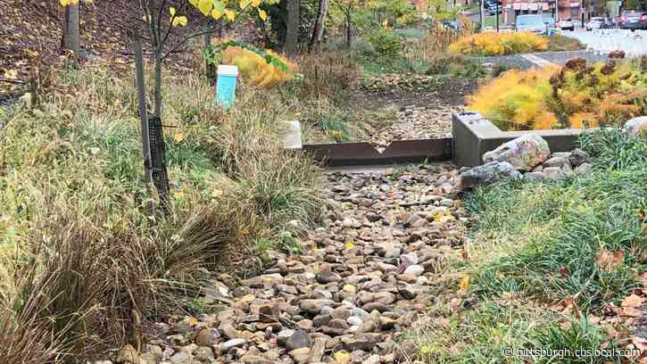 City, PWSA Seeking Proposals To Overhaul Stormwater Management System