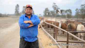 The three mates that took on a feedlot together