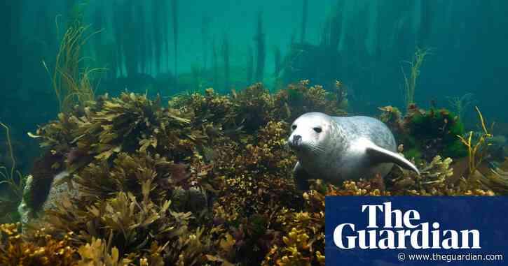 Global heating threatens UK wildlife’s ability to adapt and survive