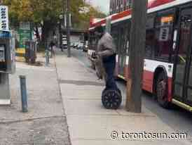 Segway rider rescues raccoon from busy Toronto roadway - Toronto Sun