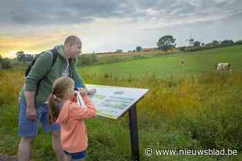 Wandelen rond de kerktoren: Westtoer bundelt routes in alle West-Vlaamse gemeenten