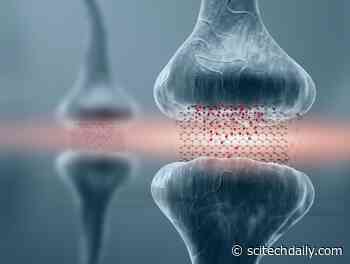 Efficient Brain-Based Computing Using Graphene-Based Memory Resistors