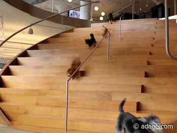 Wieden+Kennedy elevates NY execs, and stocks plunge amid COVID concerns: Thursday Wake-Up Call