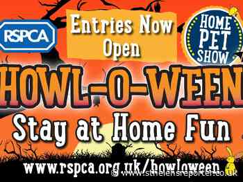 Join RSPCA St Helens for spooky fun at home - St Helens Reporter