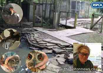 Life ban for wild birds hospital boss after raid
