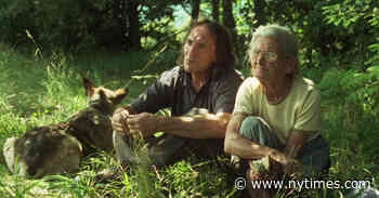 ‘Fire Will Come’ Review: An Arsonist Returns Home to the Forest