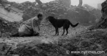 Welcome to His World: Bela Tarr’s First Meteorological Event