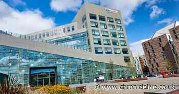 Newcastle unis behind £9m research plan to tackle digital citizenship challenges