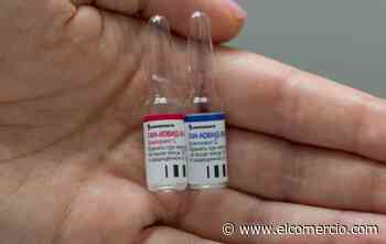 Putin dice que las vacunas rusas anti covid-19 son efectivas y prepara vacunación masiva