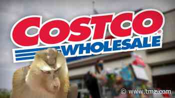 Costco Pulls Coconut Milk Brand Due to Monkey Labor Allegation