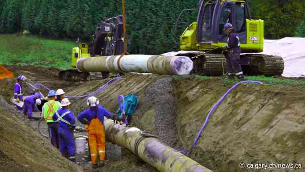 Report says TMX 'not needed' in Canada, Ottawa should reassess project