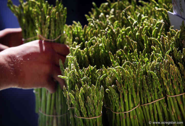 When to cut back asparagus and other perennials