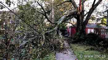 Zeta barrels across southeastern U.S. after battering weary coast