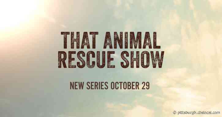 Richard Linklater On CBS All Access’ ‘That Animal Rescue Show’: ‘A Fun Show, Just A Positive Thing’