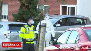 Dublin: Bodies of 'mother and two children' found at a house