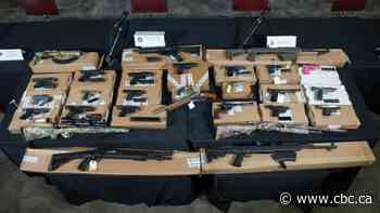 Multi-city bust dismantles street gang, Toronto police say