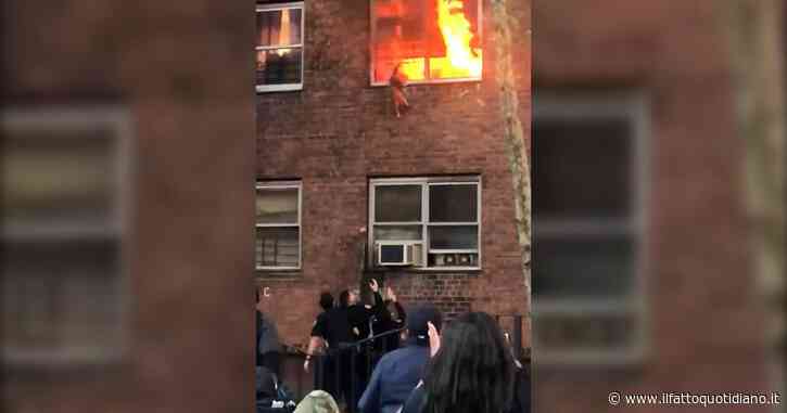 L’appartamento a New York è in fiamme: il gatto si salva lanciandosi dal secondo piano. Il video