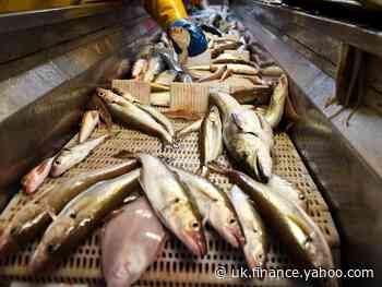 Fishermen warn Covid second wave could put them out of business without public support