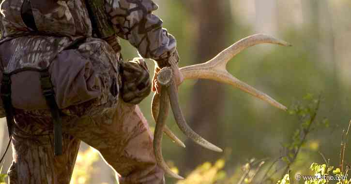 Kirk Robinson: Amendment E is a bad way to protect wildlife