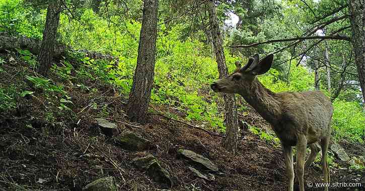 Bill Christensen: Vote for Utah’s outdoor heritage and legacy