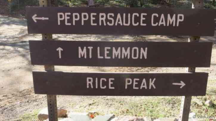 AZGFD offers reward in killing of one or more foxes at Peppersauce Campground