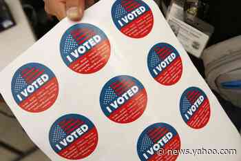 'I Voted' stickers, ballot selfies, catwalks: These celebs are ready for the election